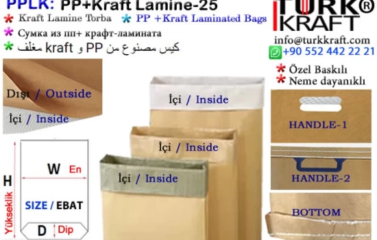 Laminated PP Bag Paper Sack