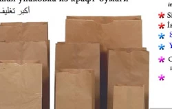 Kraft paper outside and PP sack inside 20 Paper Sack